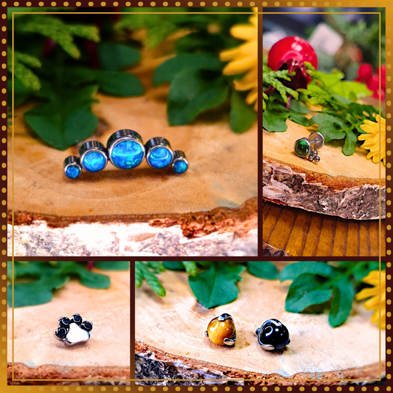 Piercing Poznań, salon piercingu w poznaniu, studio piercingu w poznaniu. Przekłucie, kolczyki. Kurs piercingu, szkolenia z piercingu